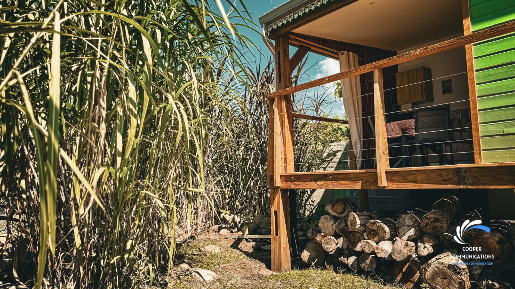 Chalet Tikaz Sandjo Noël Kültér fotó
