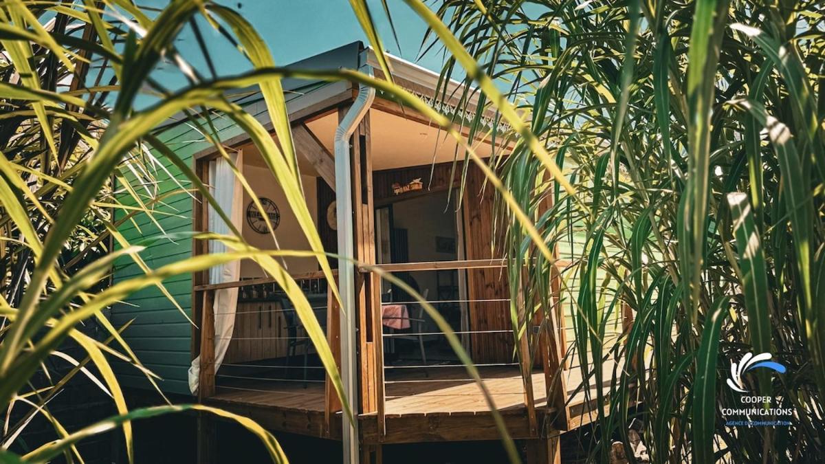 Chalet Tikaz Sandjo Noël Kültér fotó